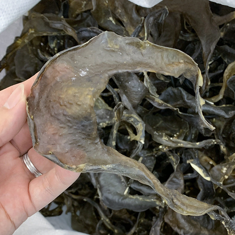 Dry seafood turtle skirt water fish skirt turtle skirt turtle plate turtle plate glue soup turtle side hotel quantity 500 grams