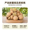 Xinjiang 185 Paper-Skinned Salt and Pepper Fried Walnuts 2025 New Arrival Cream Salt and Pepper Fried Walnuts Thin-Skinned Factory Direct Delivery 500g