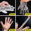 pe gloves 100 bags catering takeaway transparent thick food grade disposable gloves wholesale