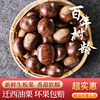 Choose Authentic Qianxi Chestnuts, Fresh Hebei Wild Sweet Oil Chestnuts, Hairy Chestnuts