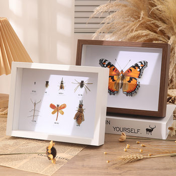 Customizable Hollow Stereo Photo Frame Density Board Solid Wood Butterfly Specimen Wooden Frame Table Homemade DIY Handmade Ornaments