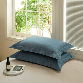 100 Xinjiang Long-staple Cotton Cotton Pillowcase Simple Solid Color Morandi Color Cotton Bed Single Pillowcase