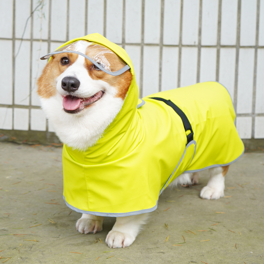 宠它亚马逊反光宠物雨衣全包柯基泰迪狗狗斗篷雨披大型犬衣服护肚 - 图2