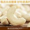 Raw Cashew Nuts 240 Vietnamese New Raw Whole Box 250g 320 Original Cashew Kernels Large Particles 500g W Pounds 5 Bulk W