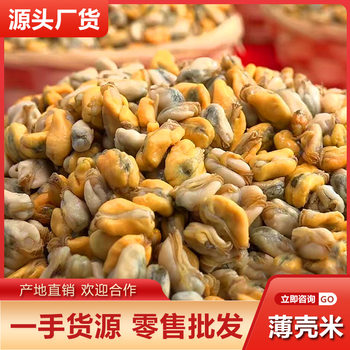 Authentic Chaoshan Thin-Shell Rice Wholesale, Sea Melon Seed Rice, Pure Meat, No Sand, Freshly Peeled Seafood and Aquatic Products on the Same Day, Catering Supply