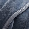 Source Wholesale Milk Velvet Gift Blanket Air-Conditioned Nap Blanket Cross-Border Foreign Trade Thickened Sofa Cover Blanket French Velvet Blanket