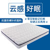 Memory Foam Mattress Zero-Pressure Dual-Use Soft and Hard Independent Spring Hotel Simmons Soft Mattress Export Double Bed