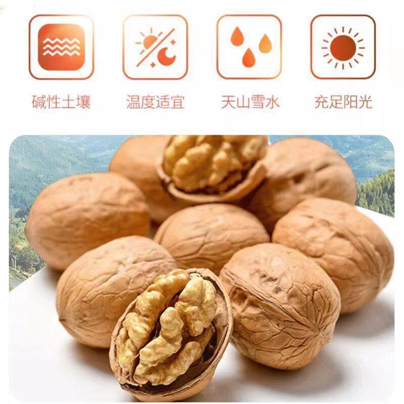 Thin peel walnut new product 33 fruit original flavor New Walnut big fruit 500g Xinjiang specialty thin peel nut raw walnut