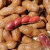 Yuye Braised Peanuts 258g Bbq Stall Food Stall Restaurant Appetizer Boiled Peanuts Wet Peanuts
