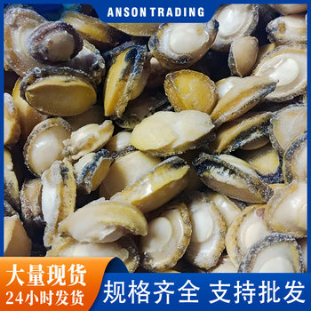 Wholesale Fresh Abalone, Frozen Abalone, Commercial Abalone Meat with Shell, Live Frozen Abalone, Wholesale Fresh Seafood and Shellfish