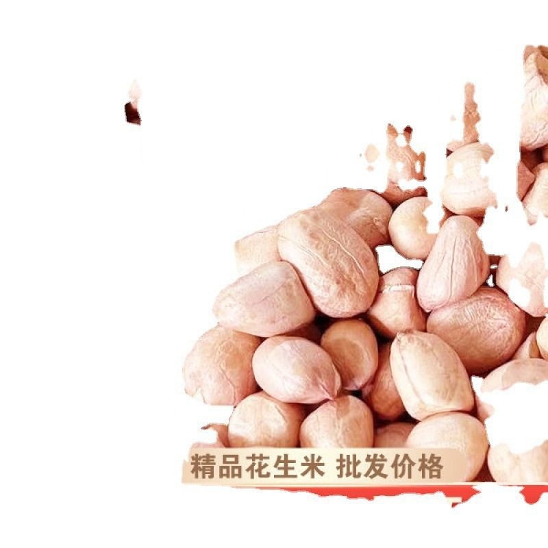 Peanut wholesale season new goods 5kg shell-less peanut seeds selected large particles farm self-growing direct sales