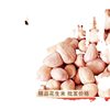 Peanut wholesale season new goods 5kg shell-less peanut seeds selected large particles farm self-growing direct sales