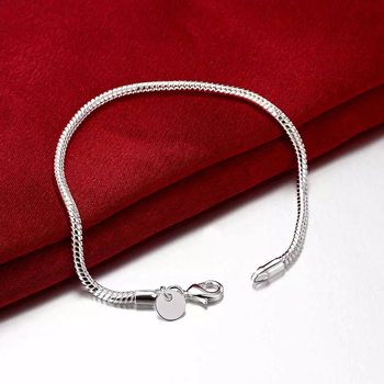 Jinrongxing Aliexpress Temu Cross-Border Hot-Selling Spot Copper-Plated 925 Silver Fashion 3mm Snake Bone Bracelet for Women and Men