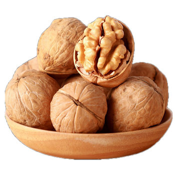 Xinjiang 185 paper Peel walnut primary color fruit washed fruit annual supply export factory nut fried goods bulk wholesale