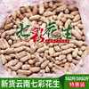 2024 New Yunnan Specialty Colorful Peanuts Flagship Store Fresh Sun-Dried Shelled Raw and Cooked Wild Colorful Peanuts
