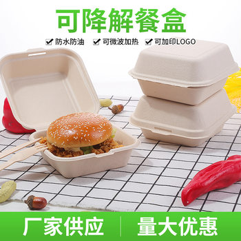 Disposable Lunch Box Internet Celebrity Cake Box Hand-Painted Sugar Cane Pulp Biodegradable Hamburger Box Takeaway Packaging Box