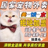 Паллеты с товарами для домашних животных, товары на вынос, закуски для кошек и собак, кошачьи полоски, мгновенная розничная торговля, открылся склад Meituan Jingdong Lightning