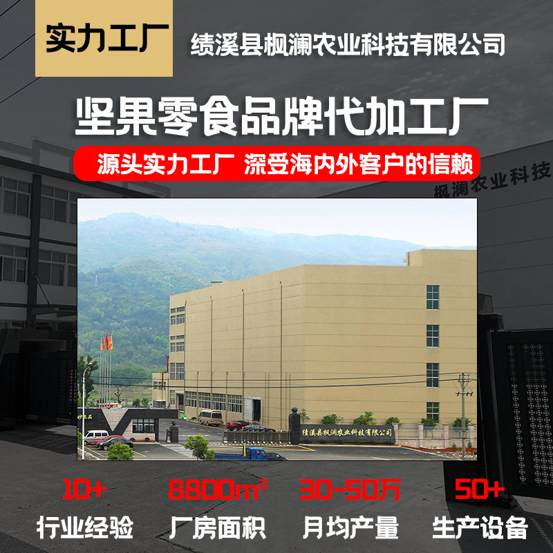 Pecan Nuts Oem Custom Wholesale Longevity Nuts Large Kernels Dried Nuts 500g Canned Creamy Pecan Kernels