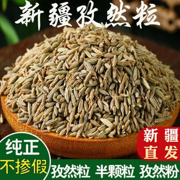 [Direct from Xinjiang]Wholesale Xinjiang Cumin Seeds, Strong-Flavored Cumin Powder, Spice for Zibo Barbecue, Large Quantity, Favorable Price