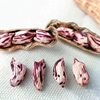 New Yunnan Colorful Peanut Dried with Shell Raw and Ripe Colorful Peanut Colorful Wild Peanut Wholesale Factory in stock