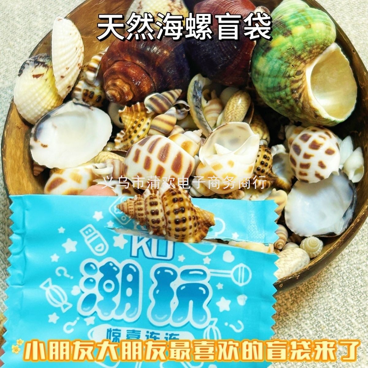 Kindergarten Small Prize Gift Conch Blind Bag Kidsren's Reward Natural Sea Shell DIY Decoration Pure Natural
