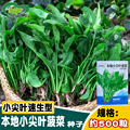 seller product image