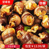 Spicy Sea Snail Bags Affordable 500g Commercial Seafood Cooked Spicy Sea Snails Without Tails Sea Cones and Sea Melon Seeds Wholesale