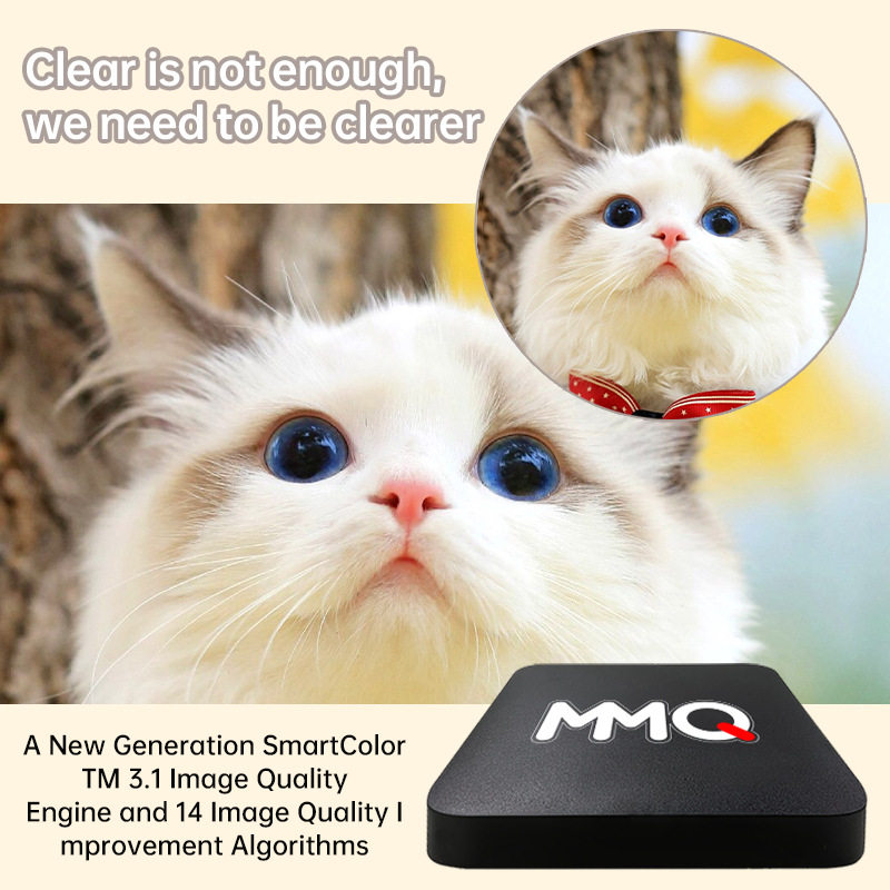 Box Sample Export Set-Top Box 4K Tv Receiver Cross-Border Hot Product High-Definition Playback Network Tv Box Tv