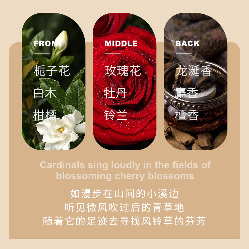 致朵深润丝滑免蒸发膜护发美发焗油膏护发素毛躁头发护理发,淘宝优惠券,粉丝福利购,淘宝优惠卷