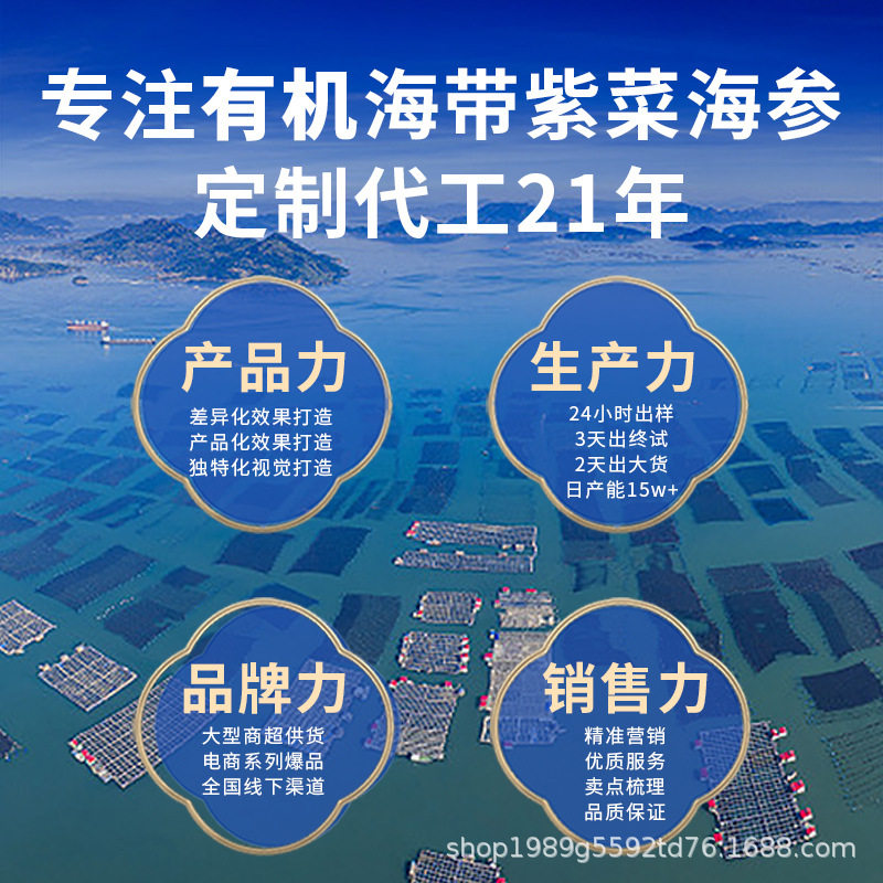 Sea Cucumber Factory Straight Instant Sea Cucumber Non-light Dry Goods Dalian Liao Cucumber Commercial Wholesale Independent Packaging Fresh Sea Cucumber