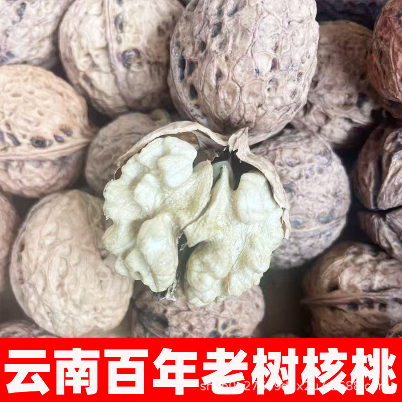 2025 New Yunnan Dried Walnuts Thin-Skinned Yunnan Pecans Wholesale Nuts Pecans for Pregnant Women and the Elderly