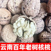 2025 New Yunnan Dried Walnuts Thin-Skinned Yunnan Pecans Wholesale Nuts Pecans for Pregnant Women and the Elderly
