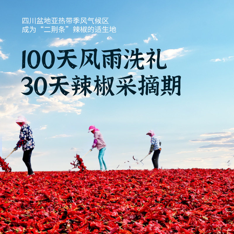 Sichuan chili oil, spicy red oil, extra spicy oil, 400g chili sauce, Chongqing household salad seasoning