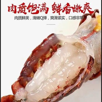 Fresh Crayfish 567 Yuan Clear Water Farming Red Shrimp Large Freshwater Shrimp Live Shrimp Fresh 2.5kg Sf Free Home Delivery