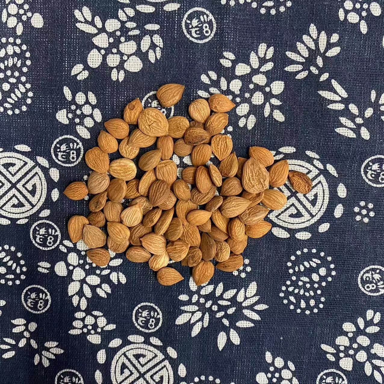 Chinese Herbal Medicine Wholesale Medicinal Bitter Almonds with Skin, Northern Almonds Peeled, Sweet Almonds in Bulk 500g, Large Quantity Preferential