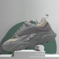Dior light gray