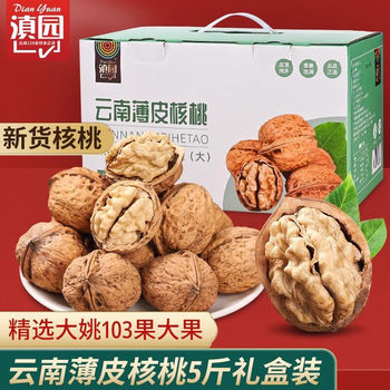 Dianyuan New Arrival Walnuts Yunnan Thin-Skinned Walnuts 2.5kg Gift Box Set New Year Nuts Thin-Skinned Dried Fruits Original Raw Walnuts