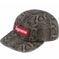 H025 snake pattern picture color