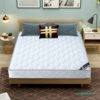 Simmons Mattress Soft and Hard Dual-Use 20mm Thick 1.95m Household Double Economical Coconut Palm Spring Mattress