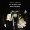 Little Black Dress Deodorant Long-Lasting Fragrance Moisturizing Body Lotion Refreshing Non-Greasy Dry Skin Body Lotion Wholesale