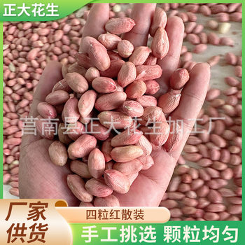 Manufacturer Wholesale Four Red Peanuts, Export Various Packaging Shelled Red-Skinned Peanuts, Red-Skinned Peanut Kernels
