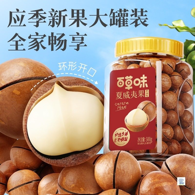 Macadamia Nuts Thin Shell 500g Canned Creamy Healthy Extra Large Nuts Snacks Dried Fruits