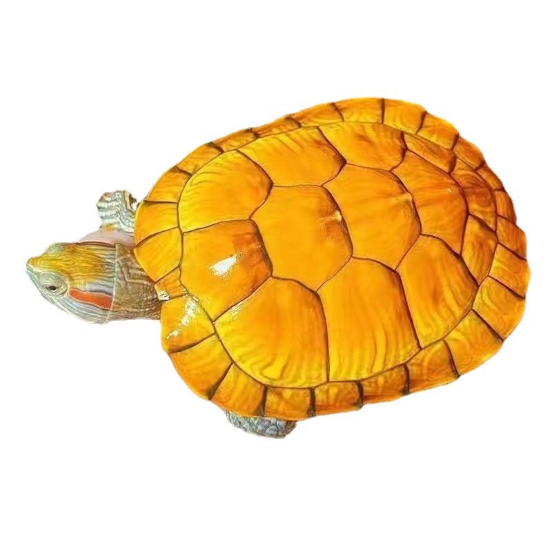金钱龟黄金招财小乌龟风水镇宅龟观赏龟宠物龟活体乌龟巴西龟活物,淘宝优惠券,粉丝福利购,淘宝优惠卷