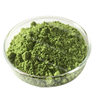 Kale Powder Water-Soluble Fruit and Vegetable Powder Dietary Fiber Drink Raw Material Kale Extract Meal Replacement Powder