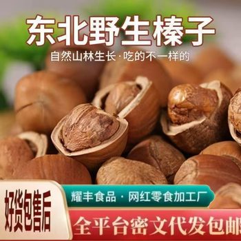Hazelnut New Arrivals Northeast Specialty Wild Nuts Dried Fruit New Year Original Snacks No Additives Hazelnuts