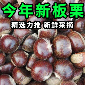 2025 New Yunnan Fresh Chestnuts Fresh Wild Chestnuts Seasonal Freshly Picked Off the Tree Pink Waxy Farm Chestnuts