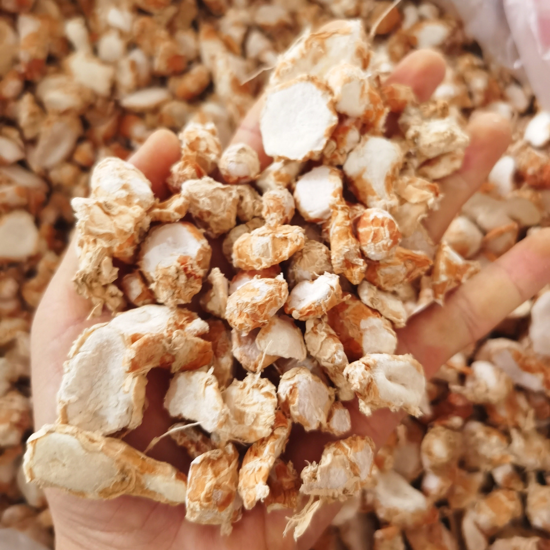 Origin supply Sanai 500g Shajiang Shanai dry fishing sparkling wine catering seasoning hot pot base material wholesale