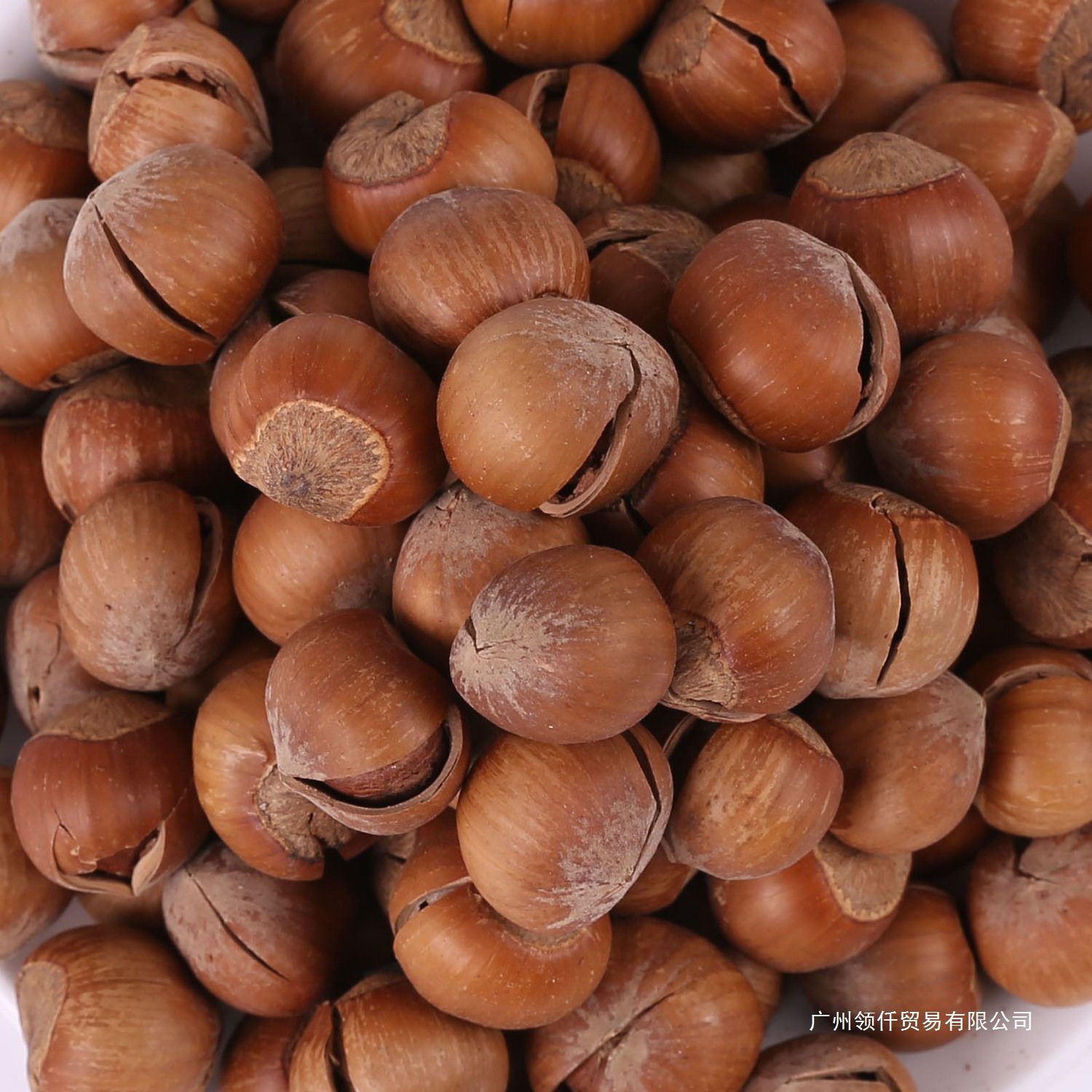 New Northeast Net Weight Large Hazelnuts with Thin Shells, Original Roasted Nuts Specialty Bagged Wholesale Price Snacks