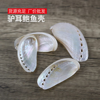 Natural Conch Abalone Shell Polished New Zealand Large Shell Donkey Ear Abalone Photo Props Fish Tank Landscaping Decoration Wholesale
