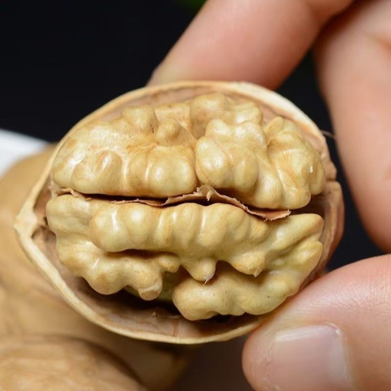 Xinjiang Aksu 185 Paper-Skinned Walnuts 500G/Bag Peach Core Paper-Skinned Walnuts Paper-Skinned Walnuts Original Thin-Skinned Walnuts